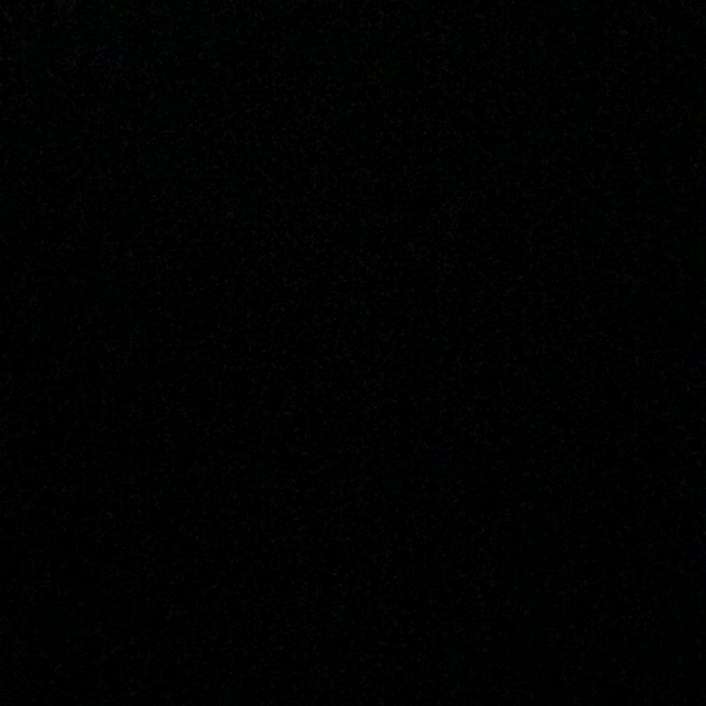 Meet your Posher, Sienna